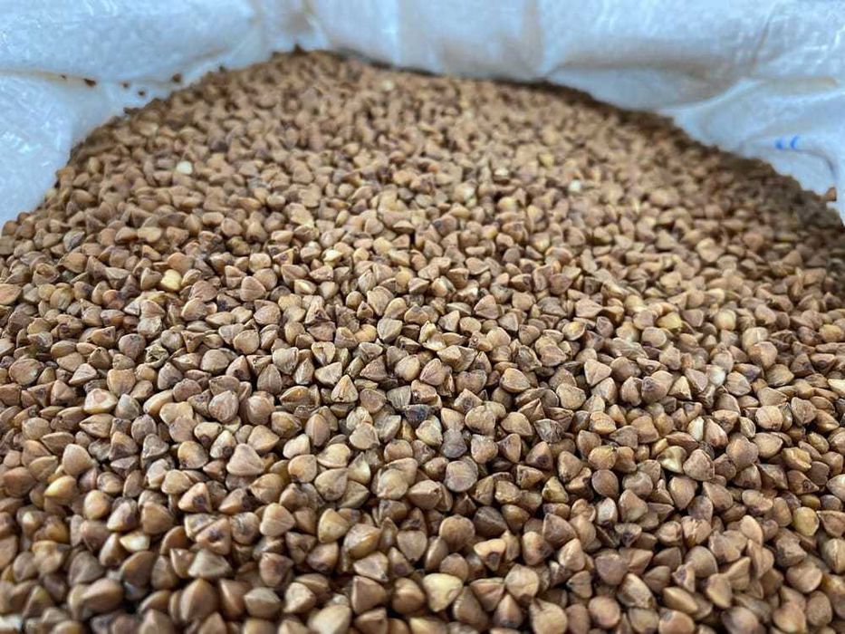 KASZA Gryczana Delikatnie Prażona 20KG Warmia bez glifosatu