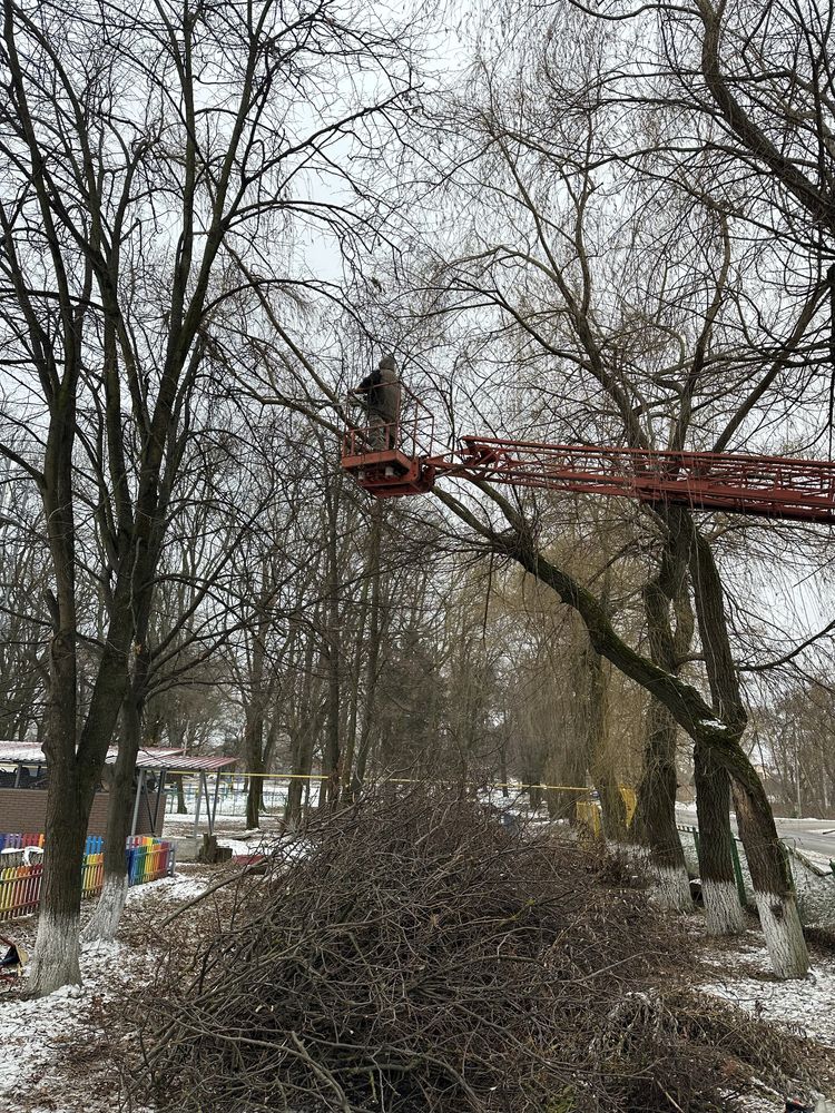 Послуги подрібнення гілок, оренда подрібнювача, зрізання дерев