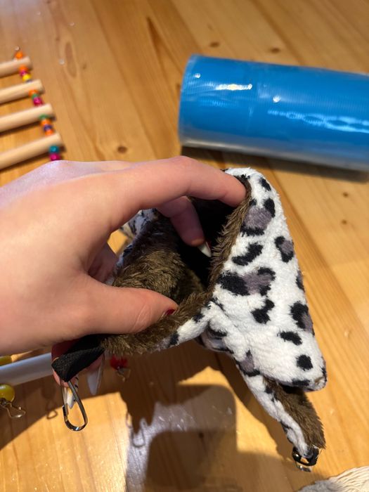 akcesoria dla gryzoni