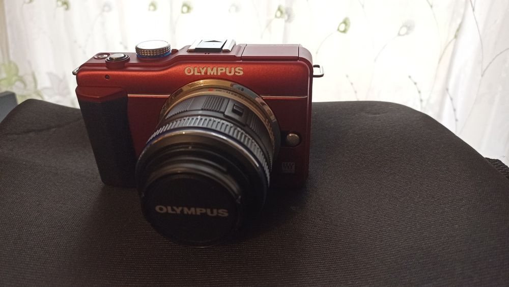 Olympus PEN E-PL1s