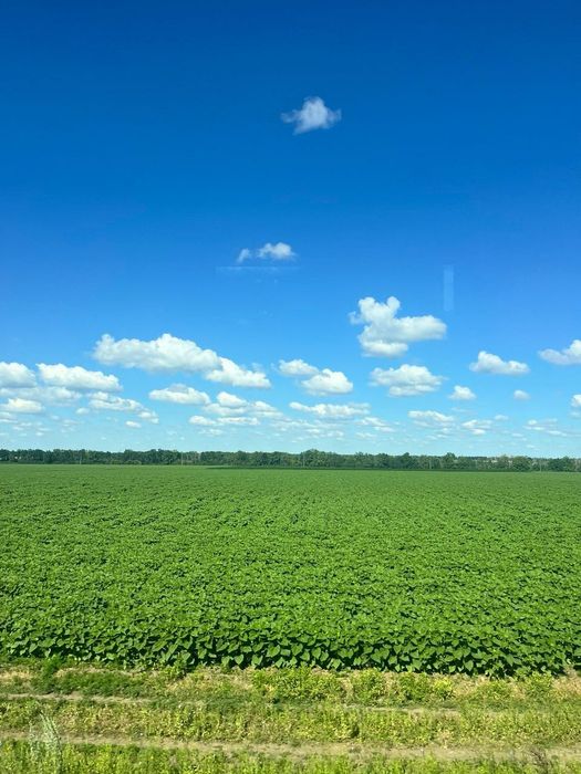 Продаж паю 7 км від Лубен