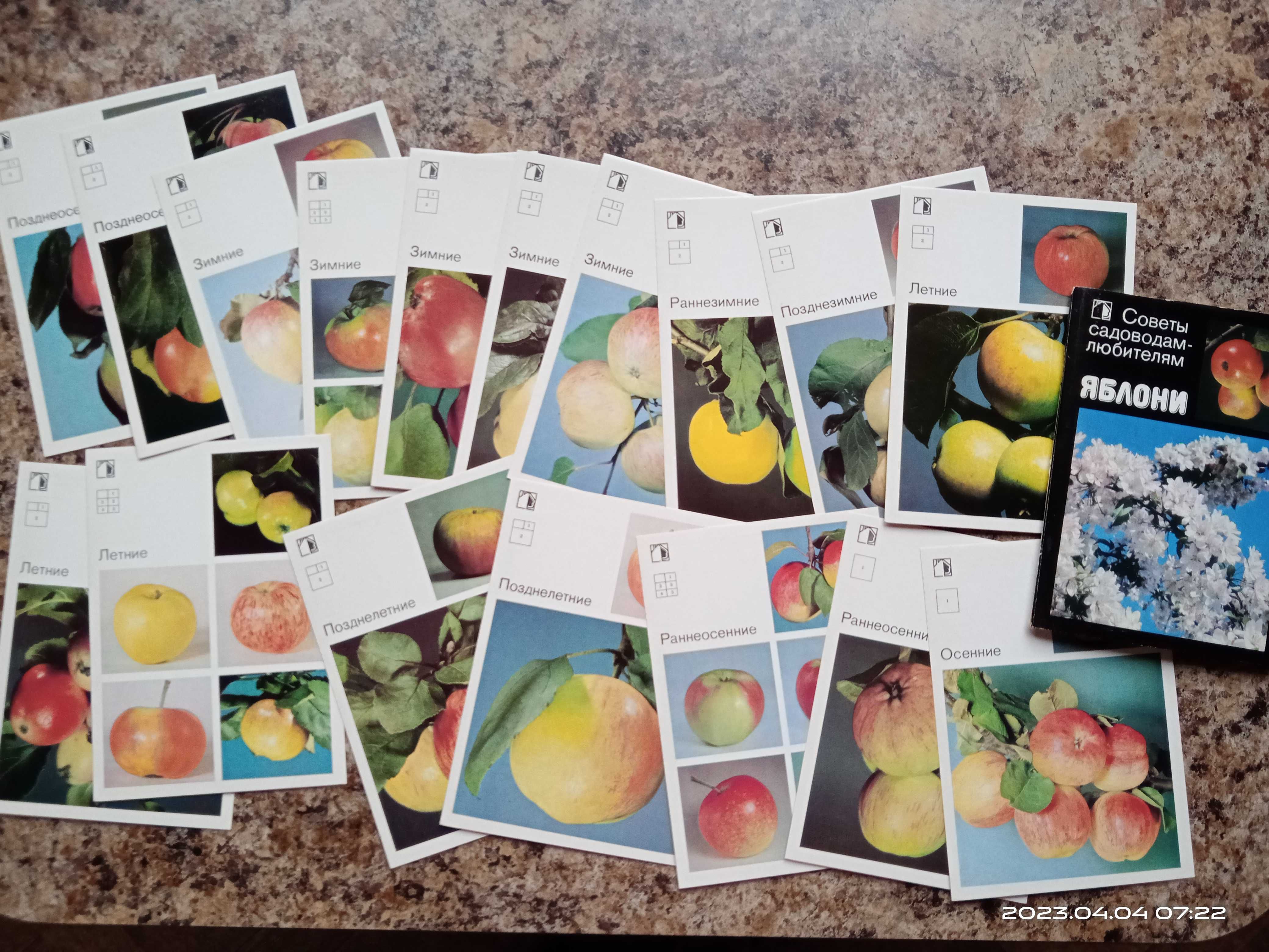 Яблони. Комплект из 18 цветных фото-открыток
