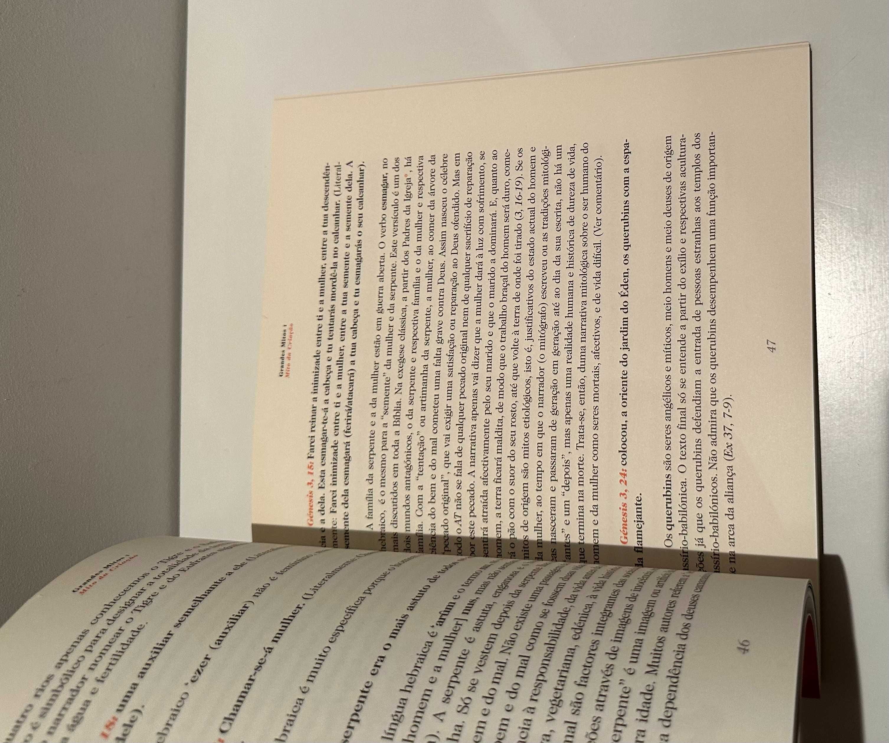Bíblia -  O Livro dos Livros - 12 volumes - edição Expresso