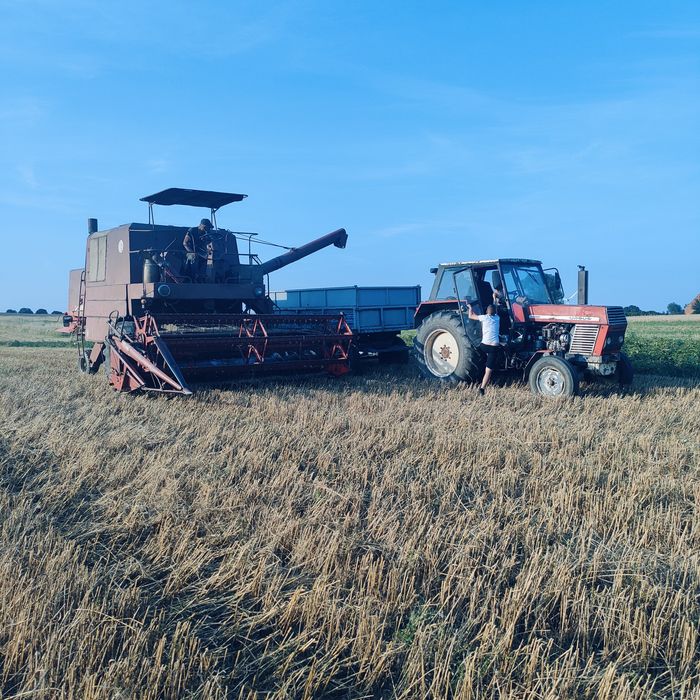 Bizon ZO 56 z sieczkarniom