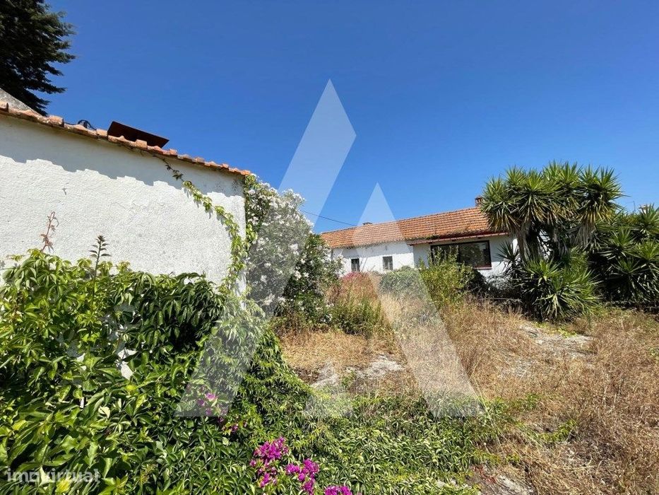 Quinta em Pontével, Cartaxo - Ótima Oportunidade com Potencial por ...