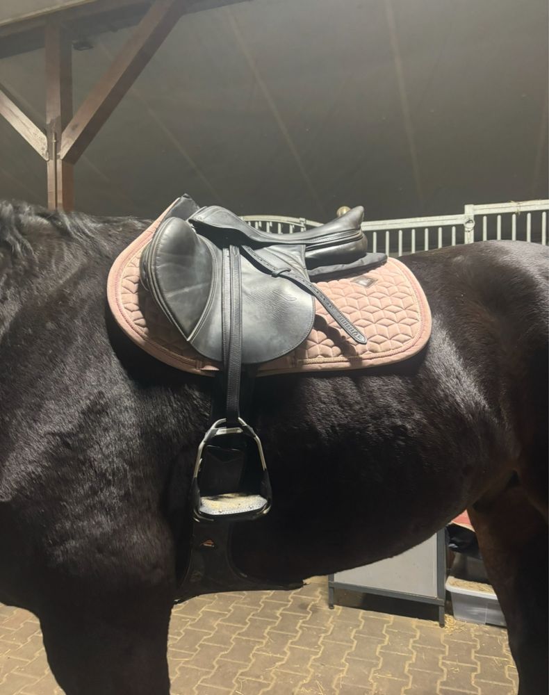 Siodlo prestige meredith 17”