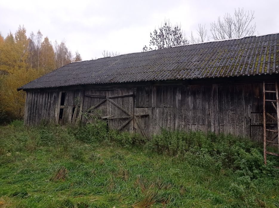Opróżnianie sprzątanie utylizacja domów mieszkań piwnic strychów rod