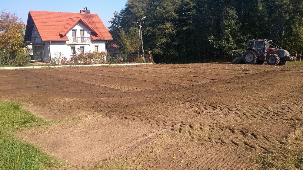 Mulczer czyszczenie działek karczowanie koszenie trawy drzewek wycinka