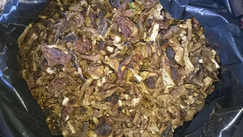 Grzyby suszone krojone (mieszanka: podgrzybek, prawdziwek)