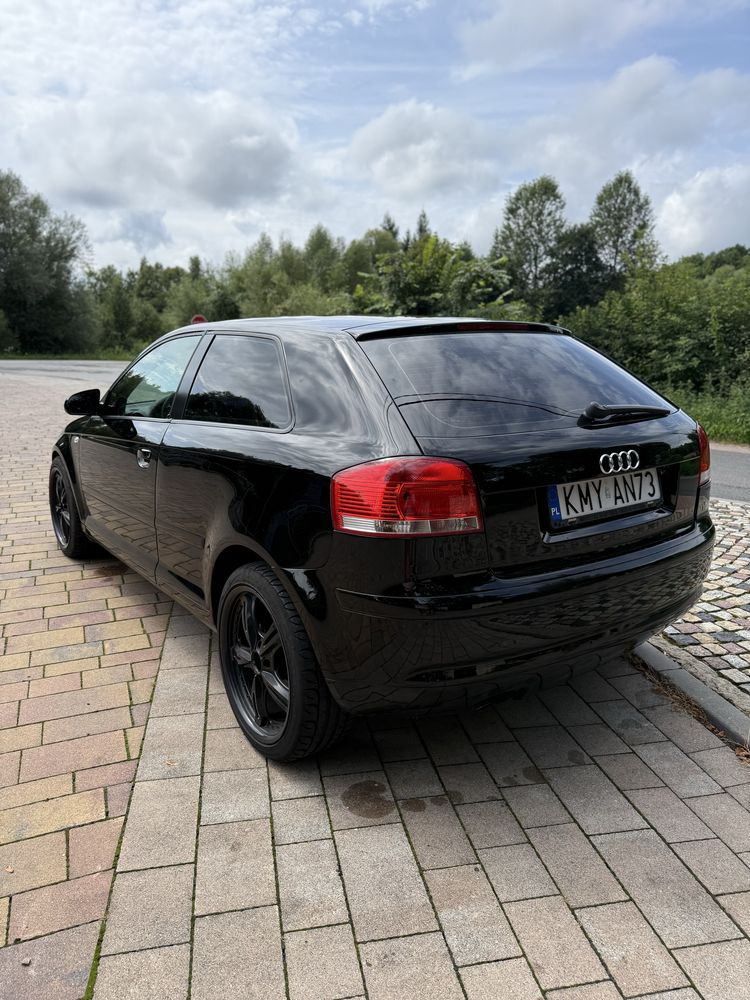 Audi A3 8P 3D 1.9 TDI