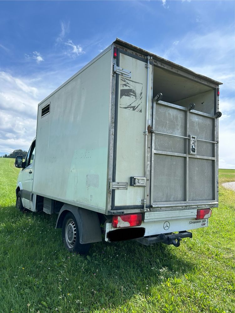Mercedes-benz sprinter 313 CDI Renault , Volkswagen, Fiat