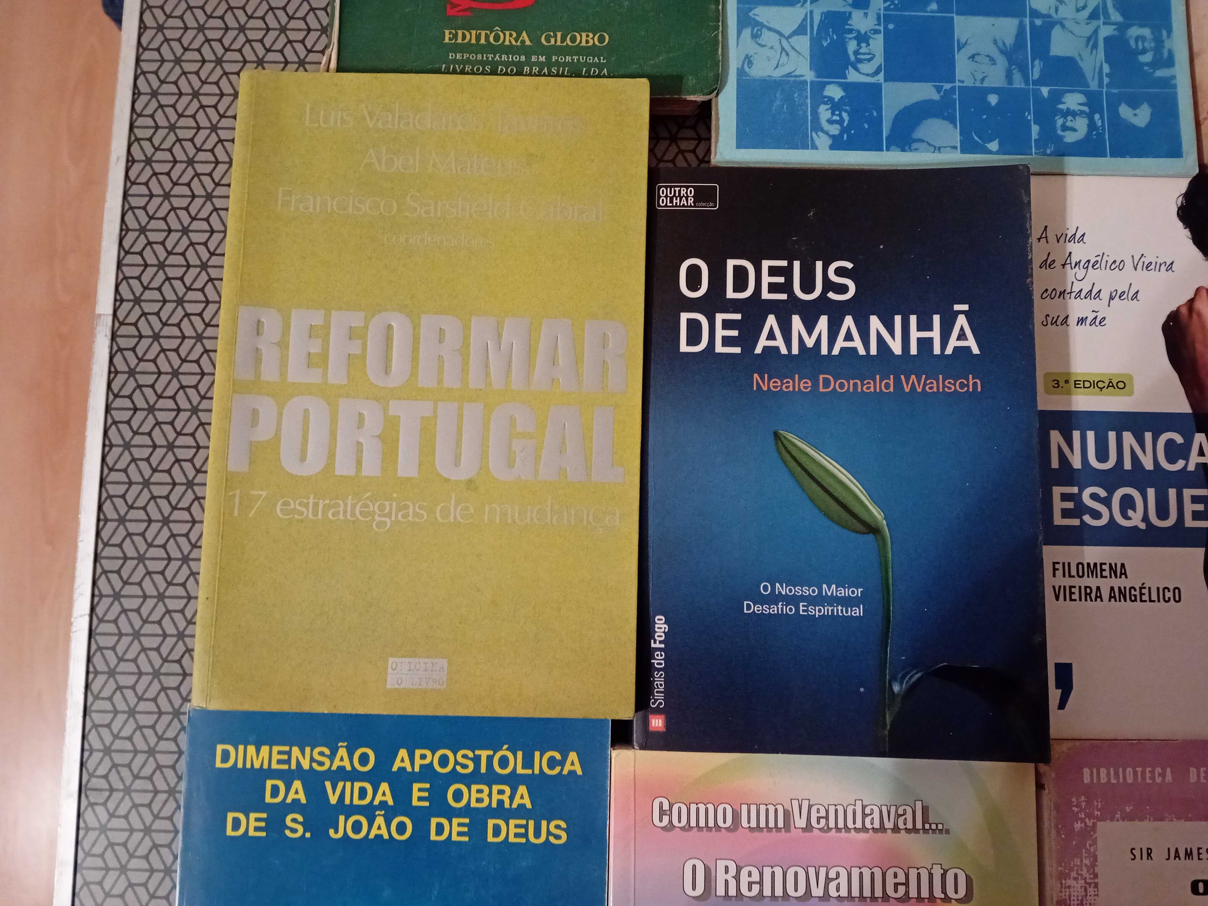 Livros Vários Temas Antigos e Recentes - Novas Entradas.