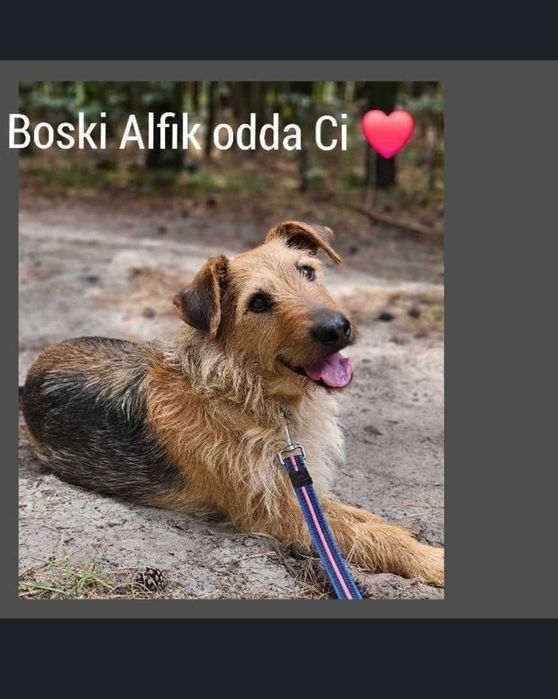 Czy naprawdę musi umrzeć za kratami.?