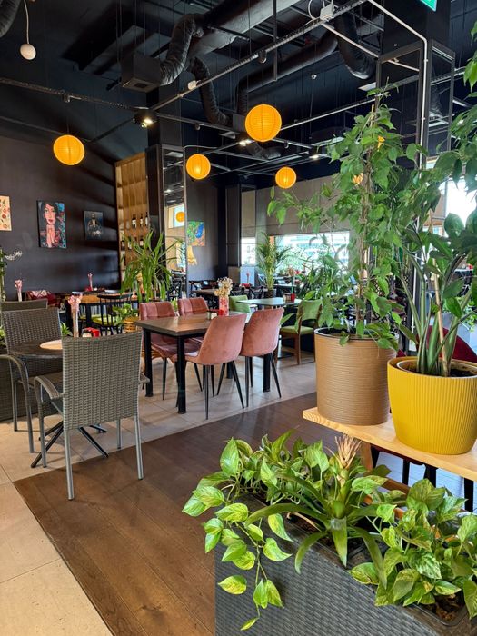 Odstąpię Działającą Restaurację