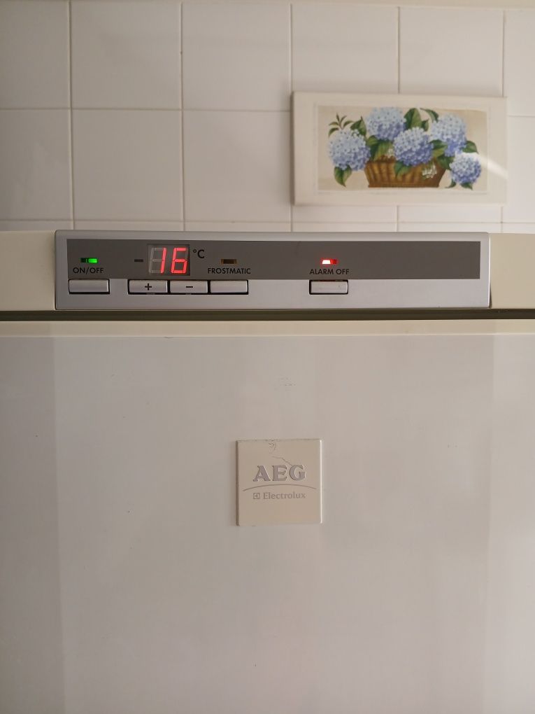 Arca congeladora vertical AEG