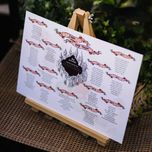 plan usadzenia gości weselnych plakat - w stylu Harrego Pottera