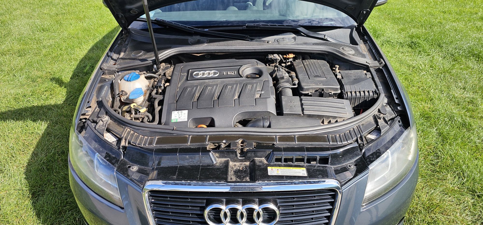 AUDI A3 8P - 1.6 TDI 2011r.