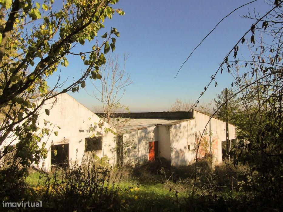 Terreno com Ruinas Vista Sobre o Rio e Lezíria