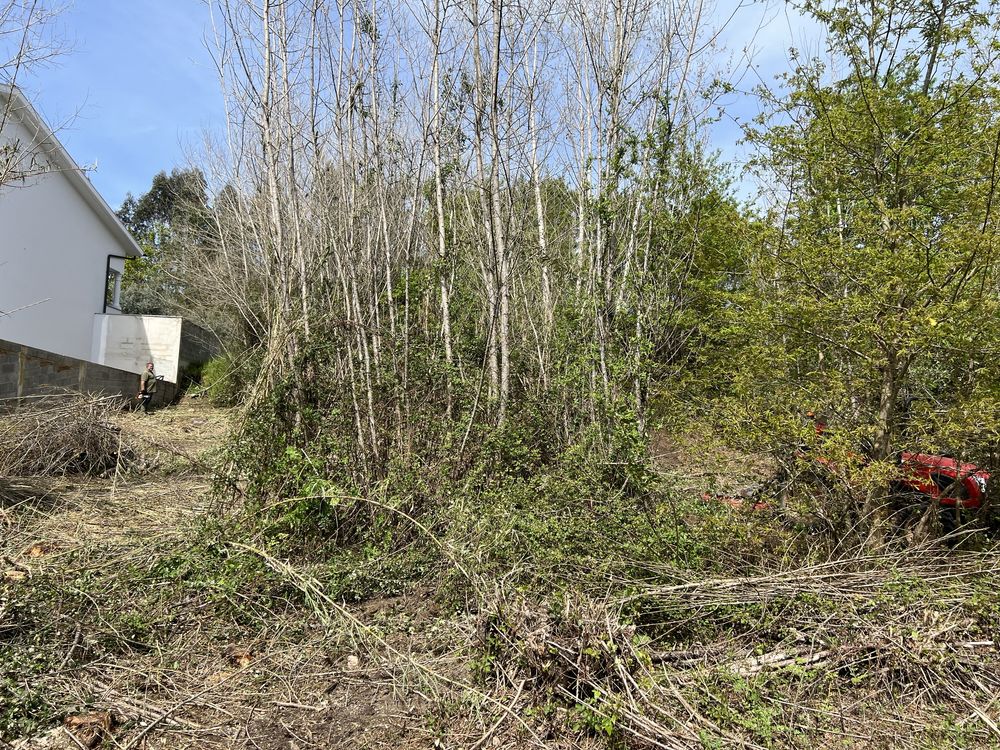 Limpeza e desflorestação de terrenos