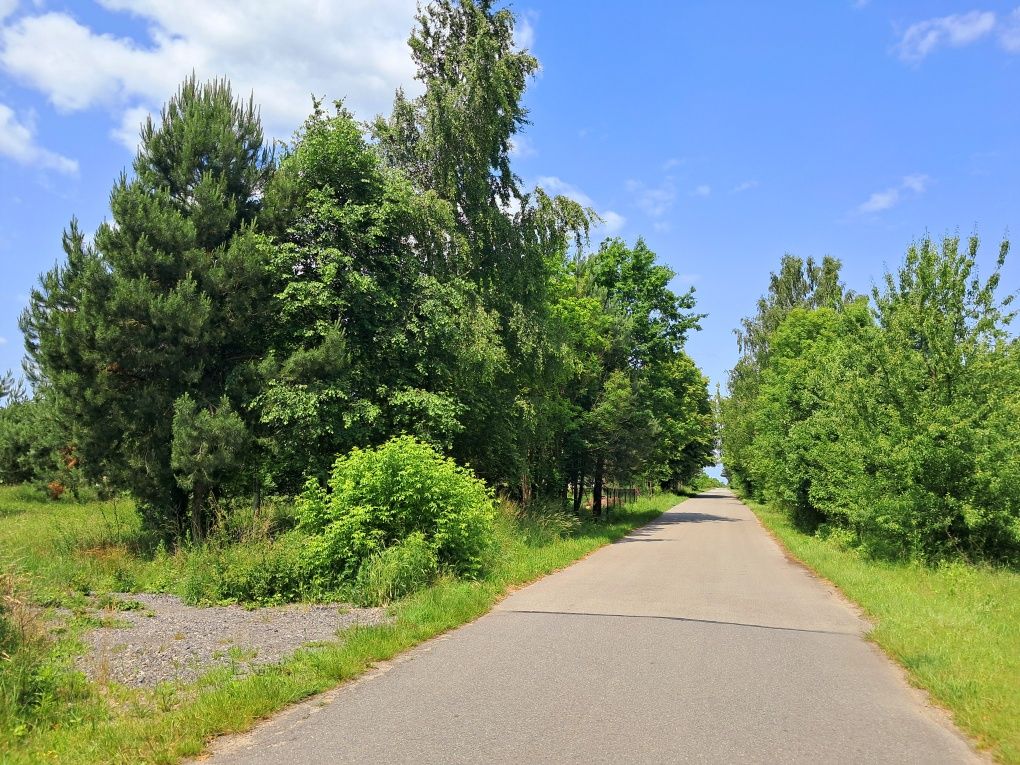 Działka Z Mikro Lasem koło Częstochowy Krasice