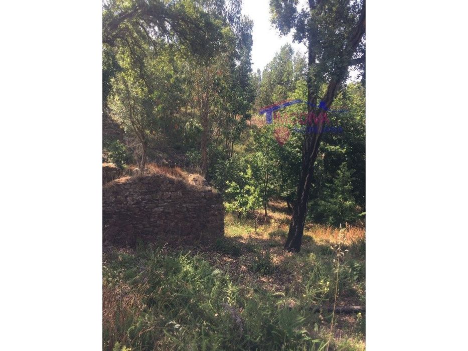 Casa de campo para reconstruir