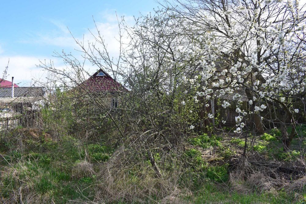 Будинок з прямим виходом до озера! Неймовірний краєвид,затишна локація