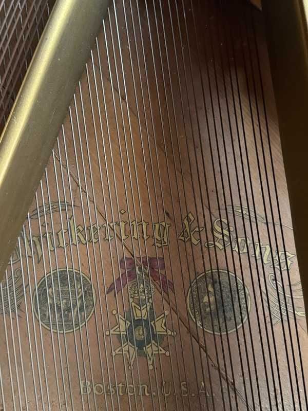 Chickering Baby Grand Piano