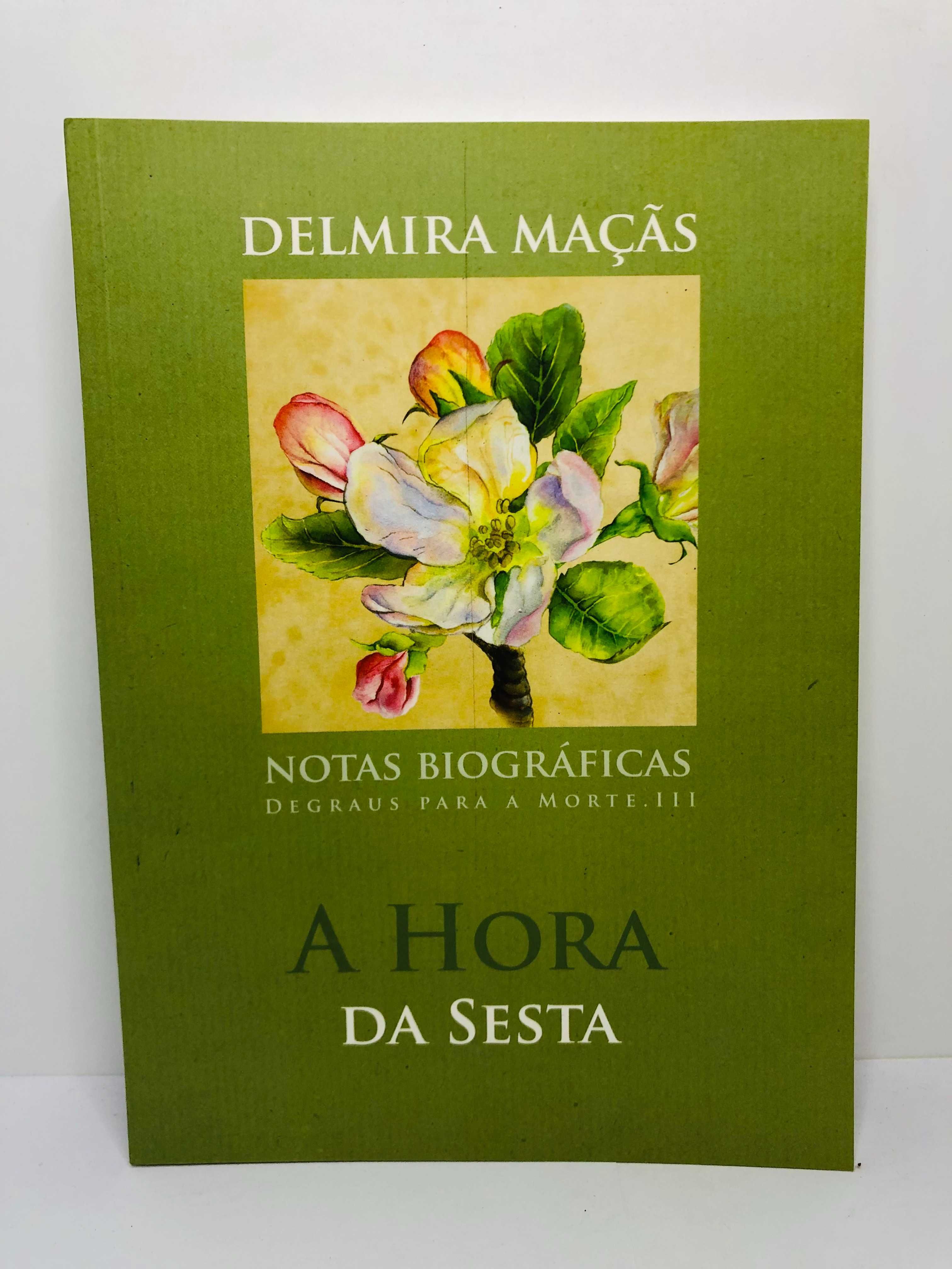 A Hora da Sesta - Delmira Maçãs