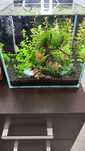 Nowe Akwarium krewetki Red polecam !!!