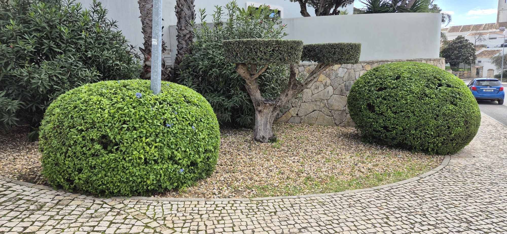 Serviço de jardinagem