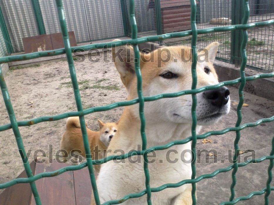 Сетка для вольера