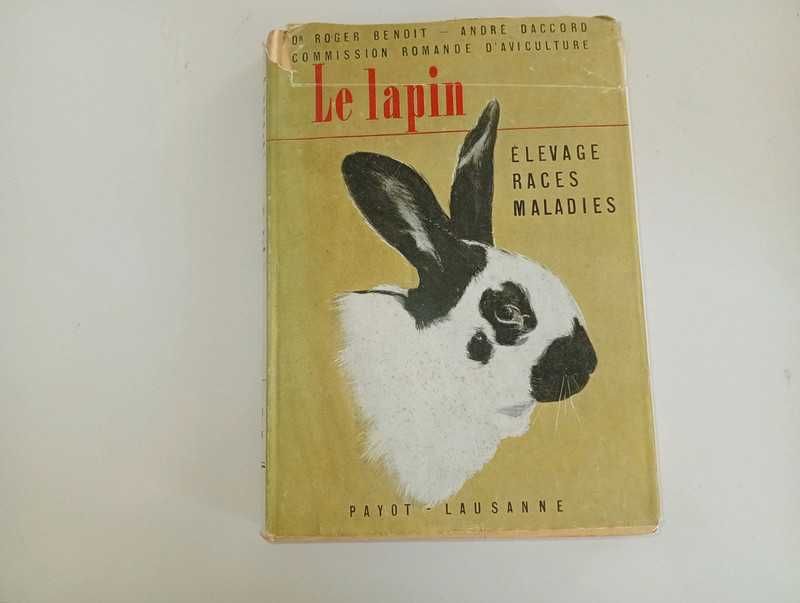 Le lapin coelho raças e doenças