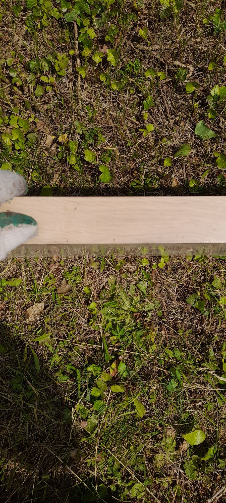 Stopień 1000x300x35 dąb deska 11 szt
