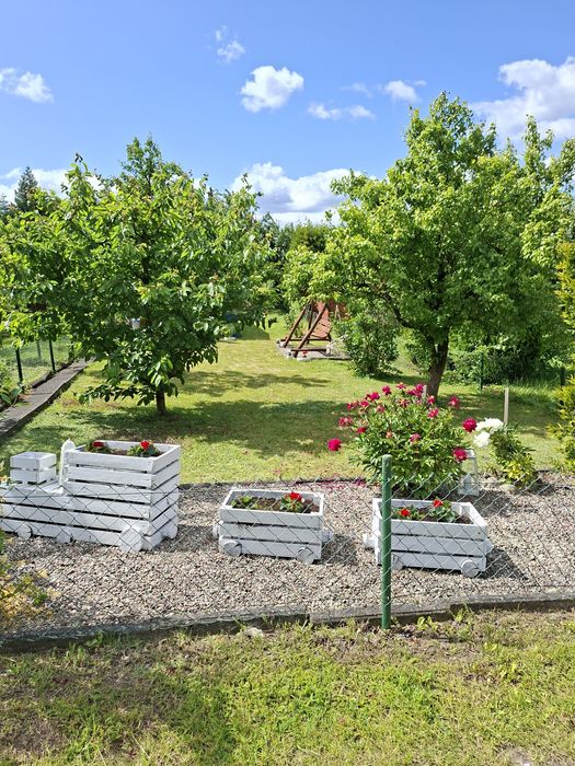 Działka ROD ,,Tulipan" 440 m²