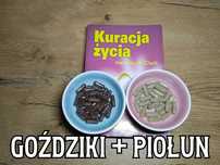 Goździki + Piołun Kapsułki dr. Hulda Clark ''Kuracja Życia''