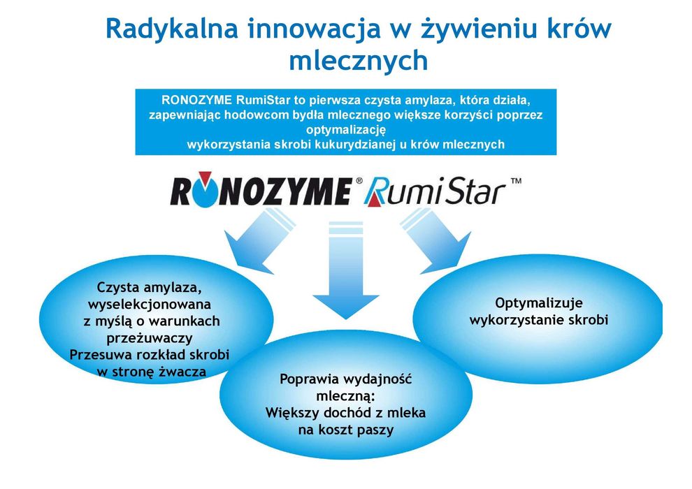 Ronozyme Rumistar poprawa strawności skrobi Amylaza dla bydła mleczneg
