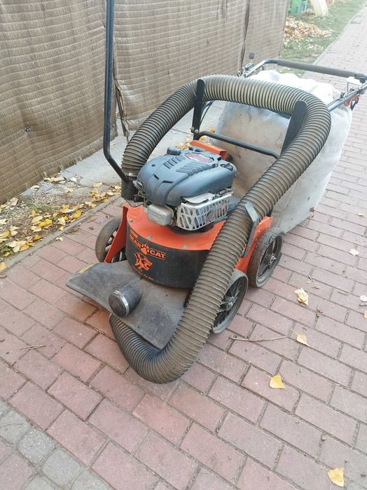 Wynajem wypożyczenie odkurzacz do liści , dmuchawa