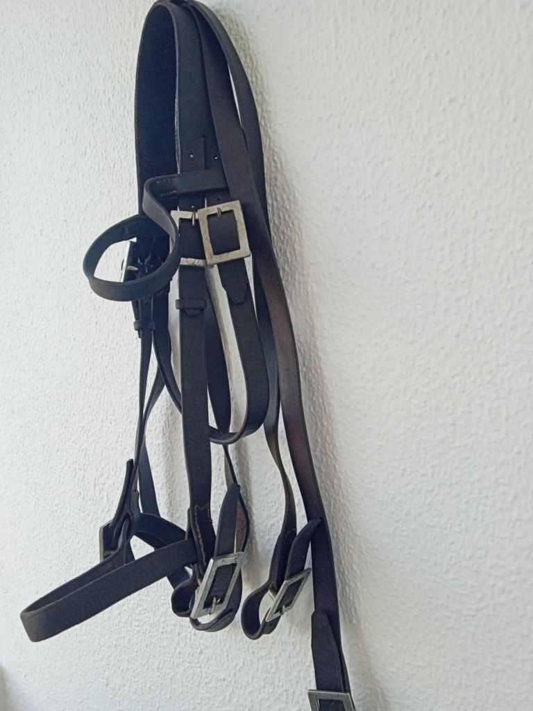 Vendo este material equestre