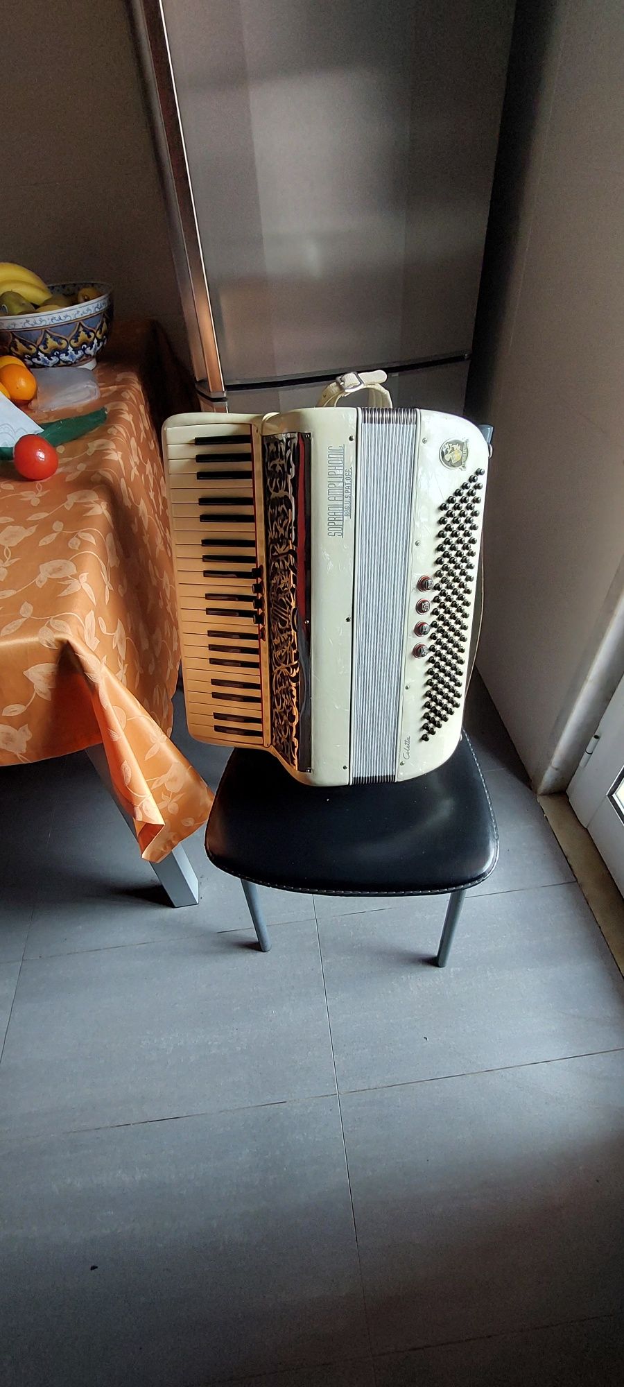 Vendo acordeão italiano