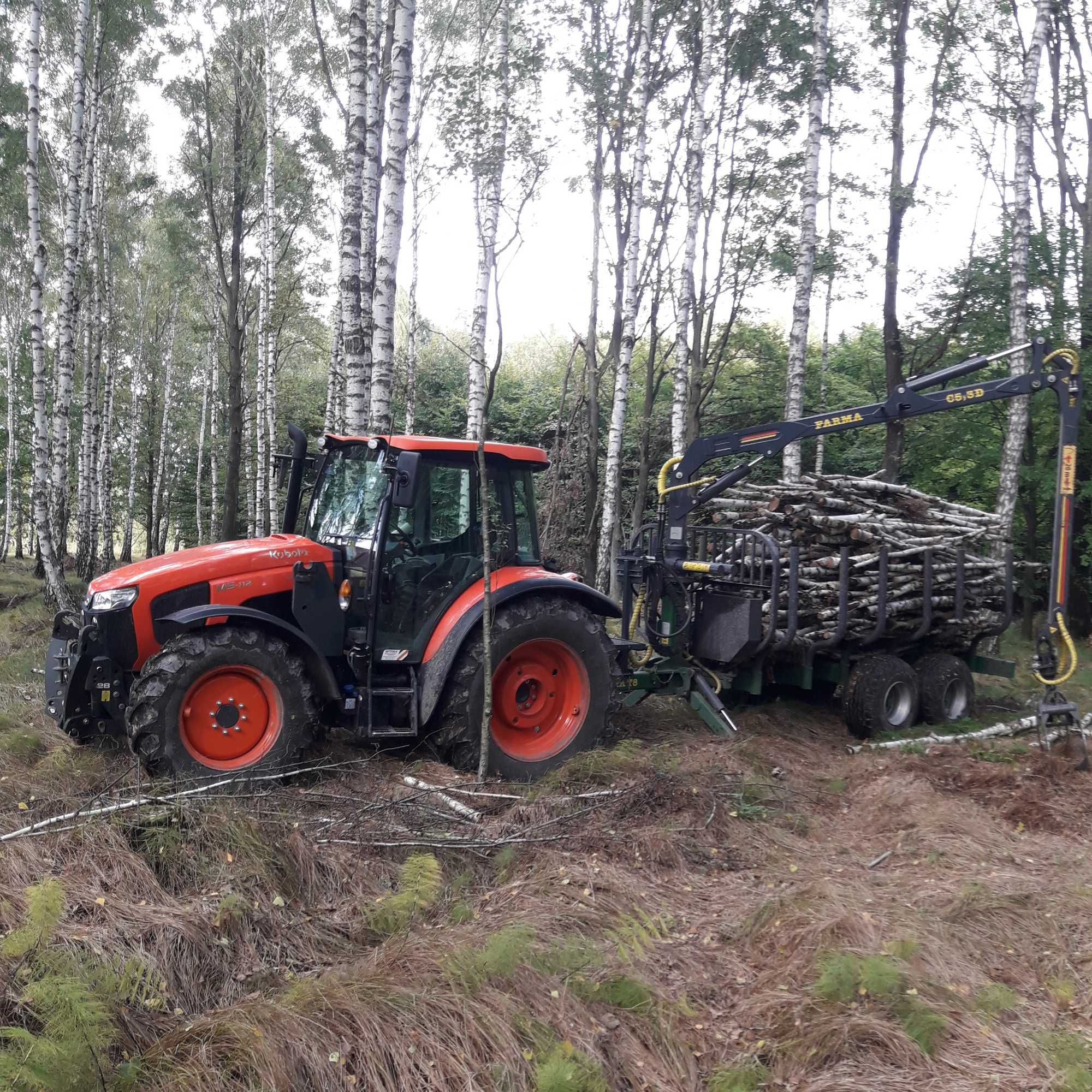 Wycinka drzew,usługi rębakiem,czyszczenie terenów,koszenie,transport