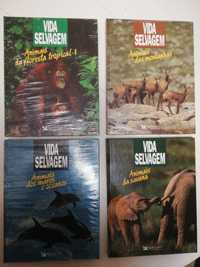 Coleção 4 Livros Vida Selvagem