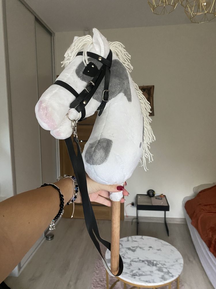 Śliczny hobby horse