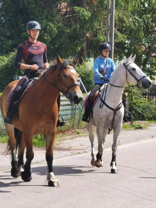 Domek holenderski na Mazurach nad jeziorem Ławki