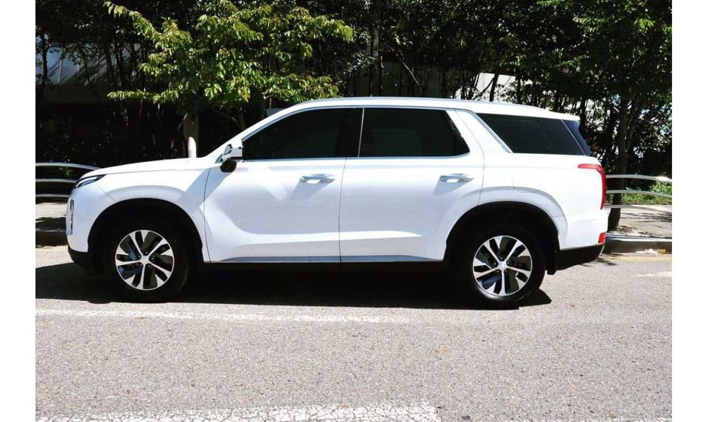 2019 HYUNDAI PALISADE NEW 2.2 TDi із Кореї