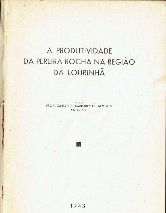 12972
	
A produtividade da pereira rocha na região da Lourinhã