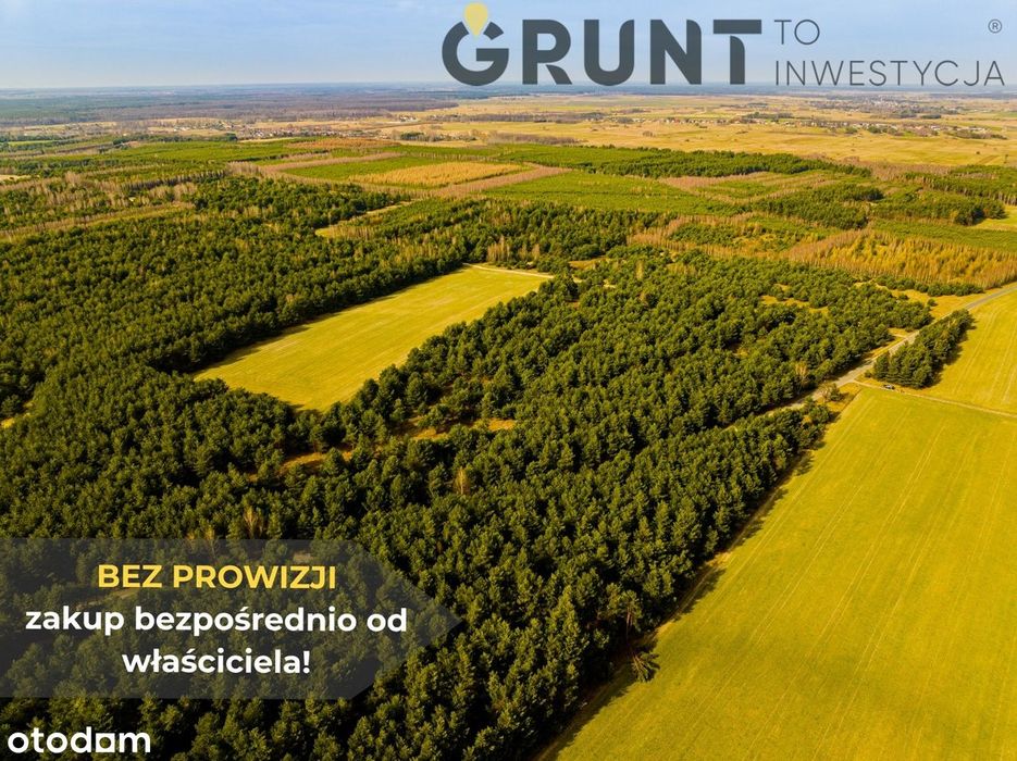 Działki premium - Jura Krakowsko-Częstochowska