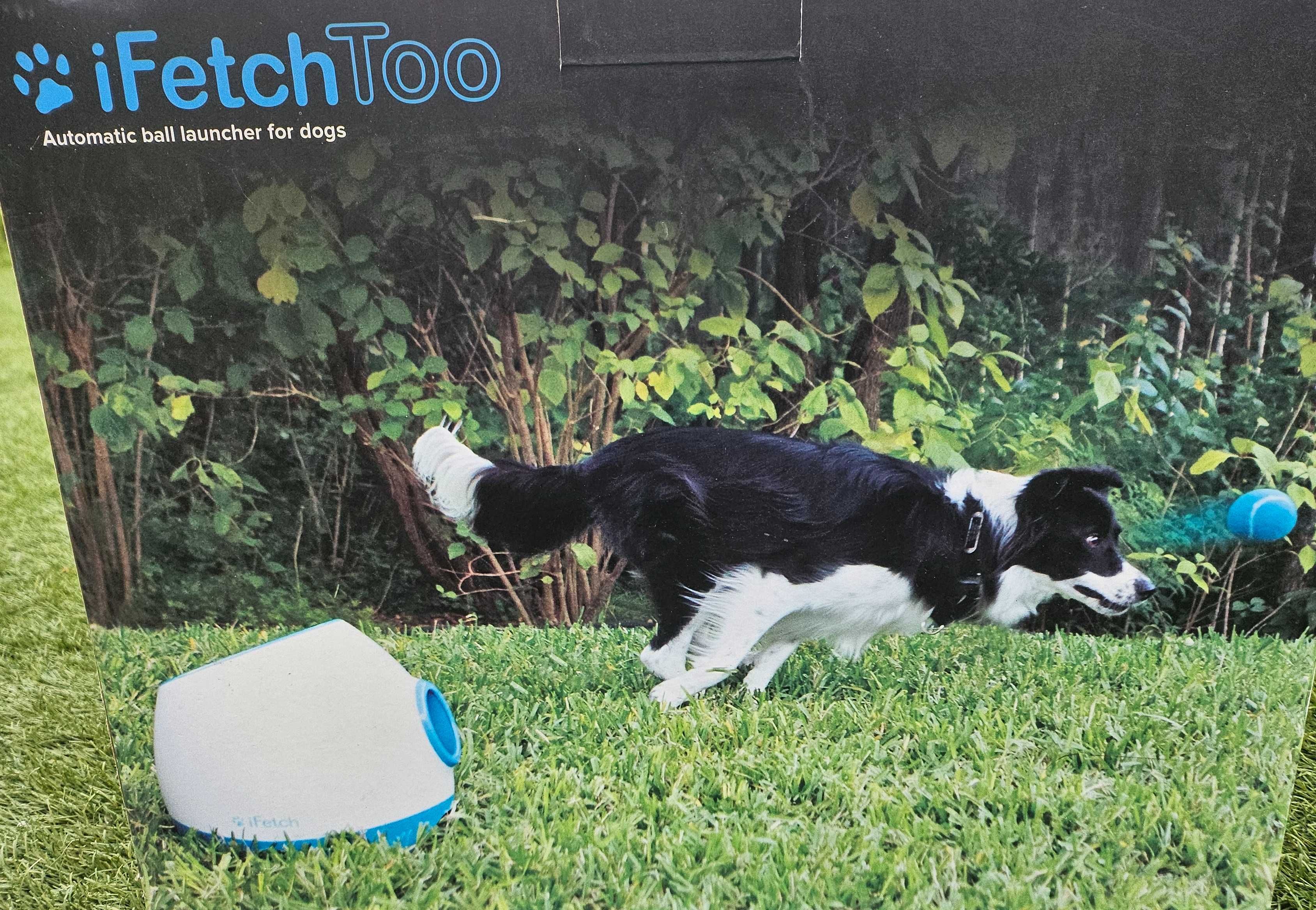 iFetch Too - Automatyczna wyrzutnia piłek dla psów