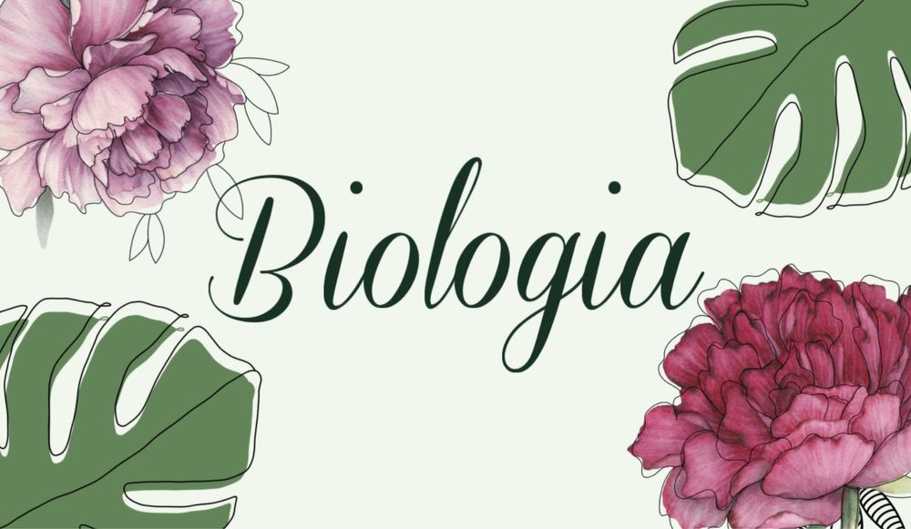Korepetycje Biologia