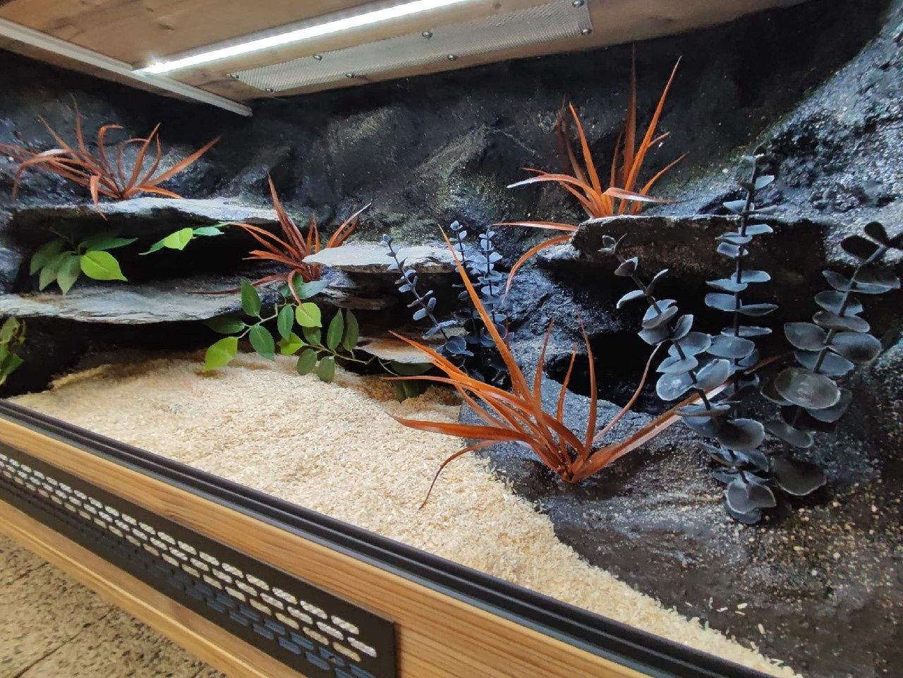 Terrarium z płyty meblowej wąż pyton boa KOŚCIAN