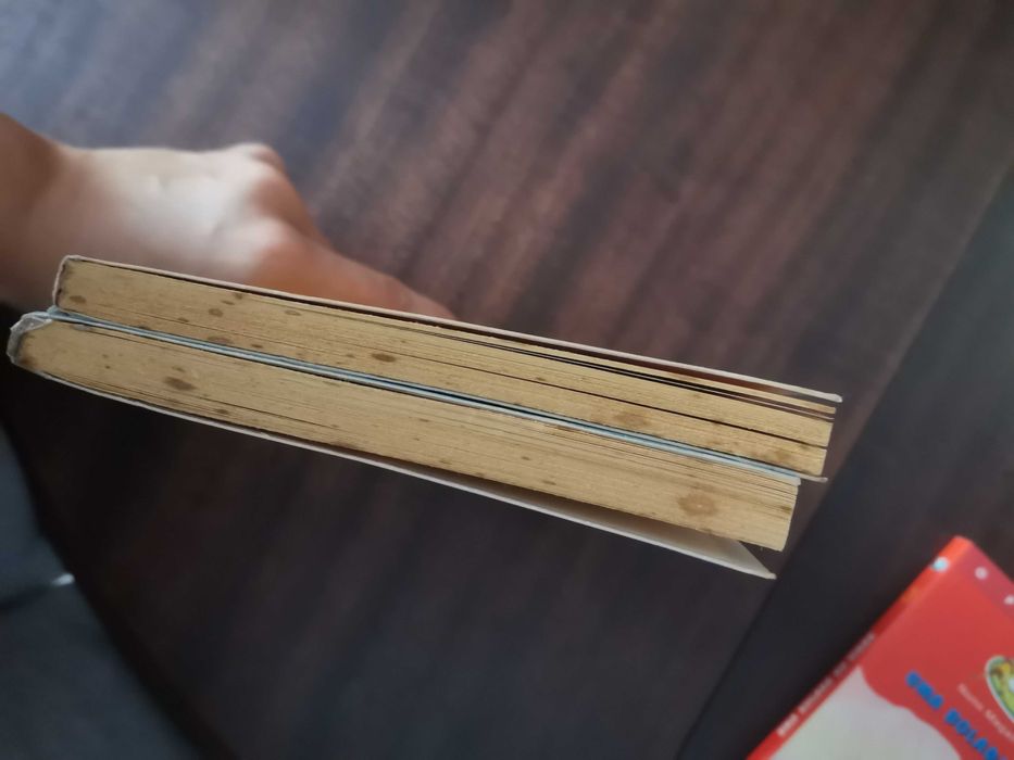 Livros Coleção Jovens Detectives